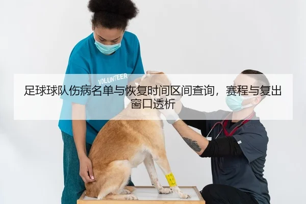 足球球队伤病名单与恢复时间区间查询，赛程与复出窗口透析