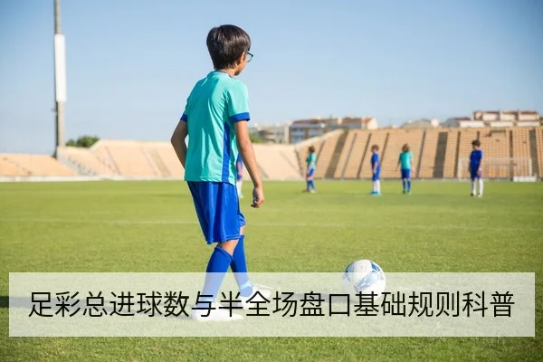足彩总进球数与半全场盘口基础规则科普